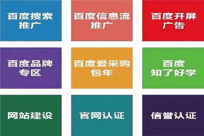 百度SEO推广公司案例分享：行业佼佼者经验